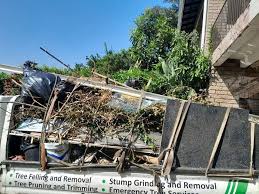 Best Attic Cleanout  in Seal Beach, CA